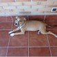 la princesa de la casa!!!